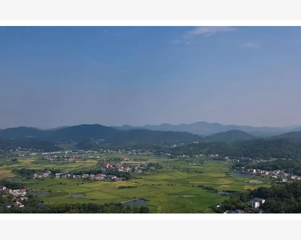 通过驱寒最好的是什么姜
