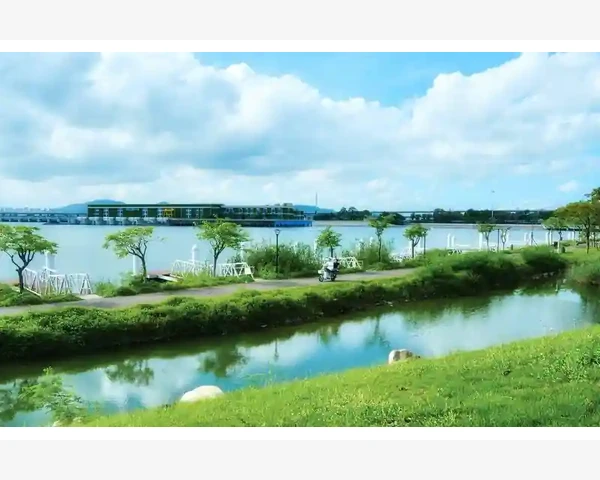 三花茶与脾胃虚弱：适合还是不适宜？